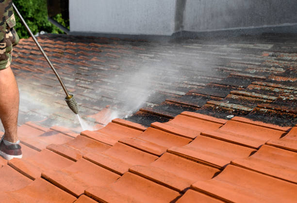 Best Pressure Washing Contractors  in Kearny, AZ