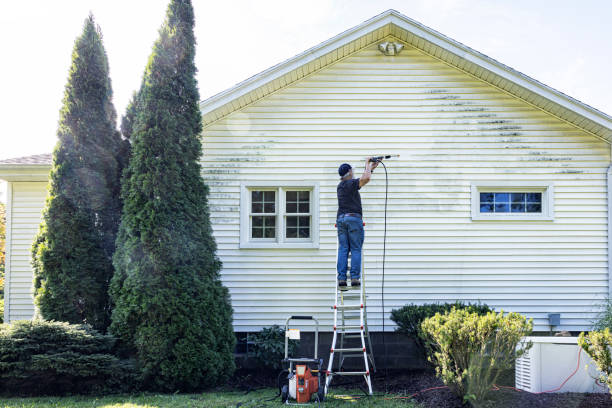 Best Garage Pressure Washing  in Kearny, AZ